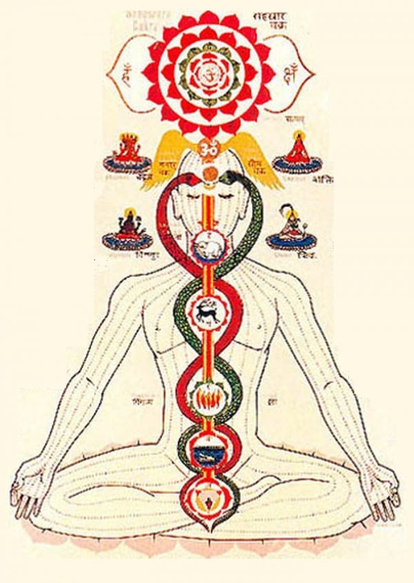 Kundalini Shakti Esoteric Yoga Integral