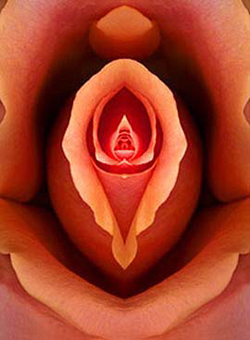 Menstruación: el desafío mensual de la mujer