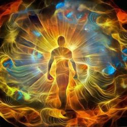 El estado de yoga implica la trascendencia sin demora del ego (ahamkara)